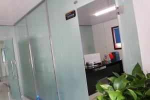 Director of Sales Office